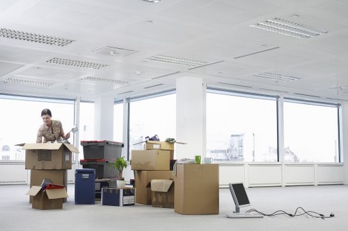 Related removal and transport service options