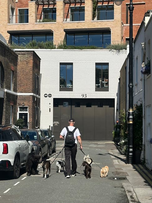 A small dog sitting on a paved street next to a concrete block with a metal pole embedded in it, which appears to be a parking or traffic barrier, casting a shadow on the ground. The street surface sh